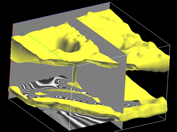Seismic Interpretation