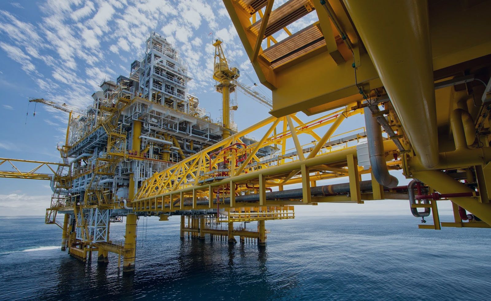 Seismic Surveys